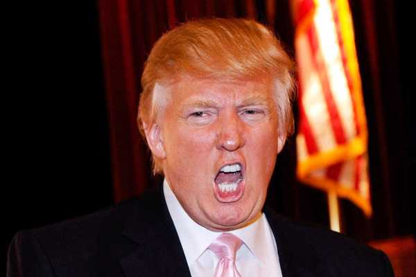 Well, I'll Be Damned, Donald