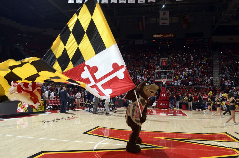25 Ways To Piss Off A Terp