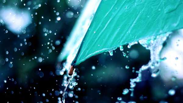7 Things To Do During April Showers