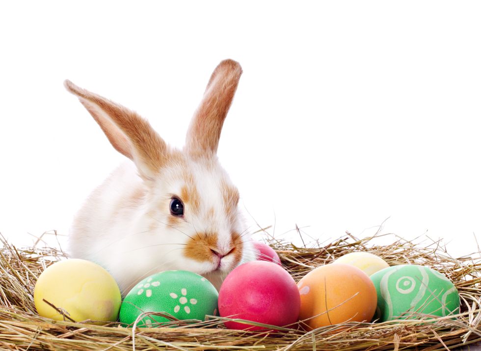 5 Things College Students Are Hoping For In Their Easter Baskets