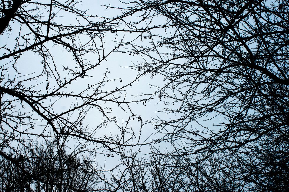 My Monsters Used To Hide Under The Bed...