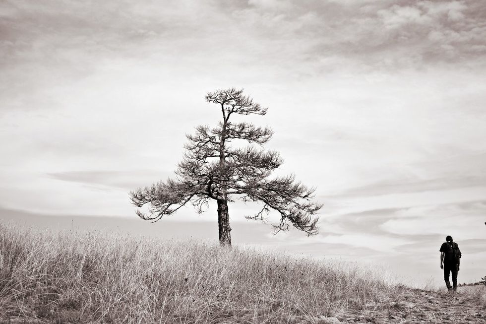 A Eulogy For The Girl Who Will Never Get To Hear It