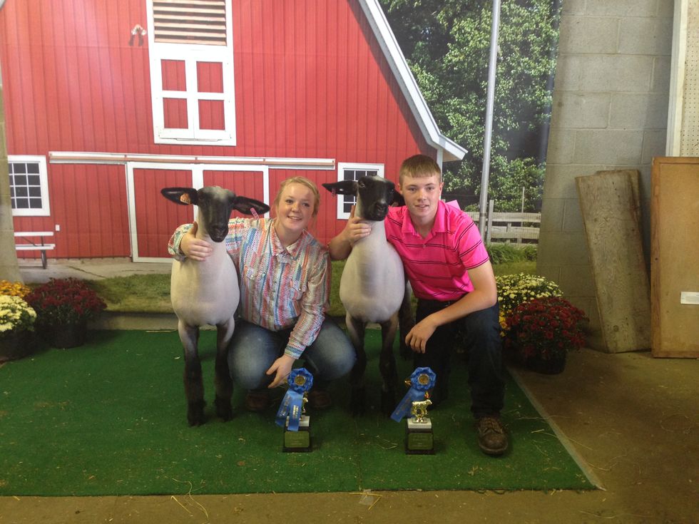 To The Last First Steps In The Ring