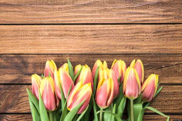 7 Healthy Habits To Pick Up This Spring