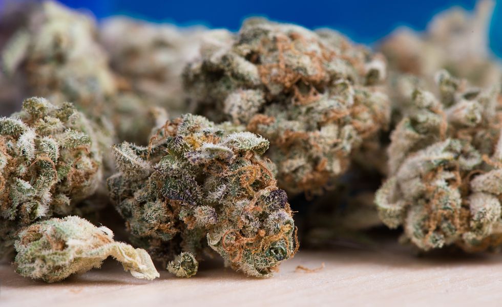 Legalizing Weed Could Help North Carolina?!