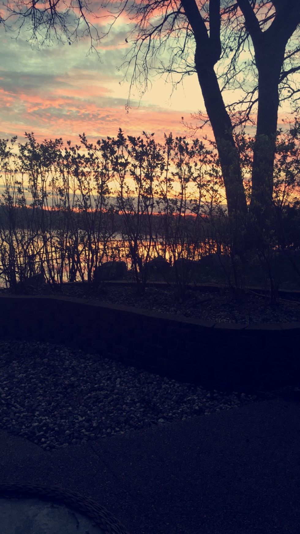 The Definition of Life