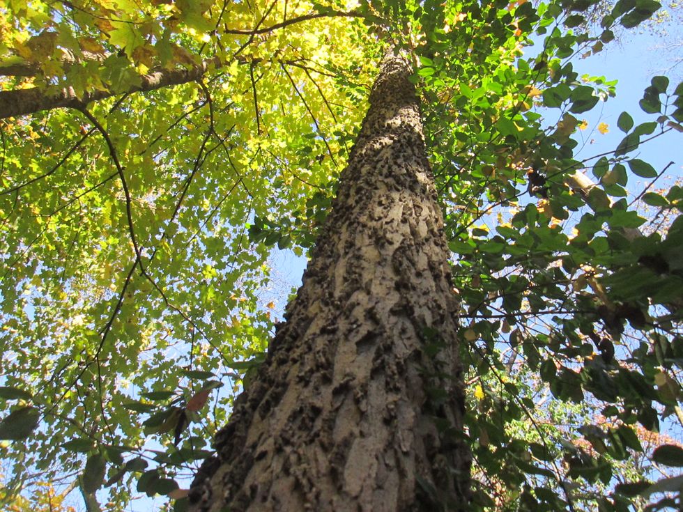 Lacking In Approriate Emotion?