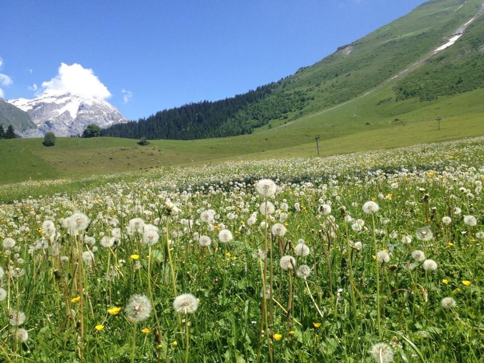 Why I Stopped Saying "I Hate My Life"