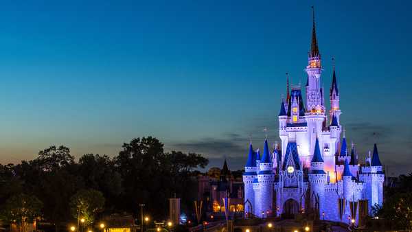 So You Didn't Get Into The Disney College Program?