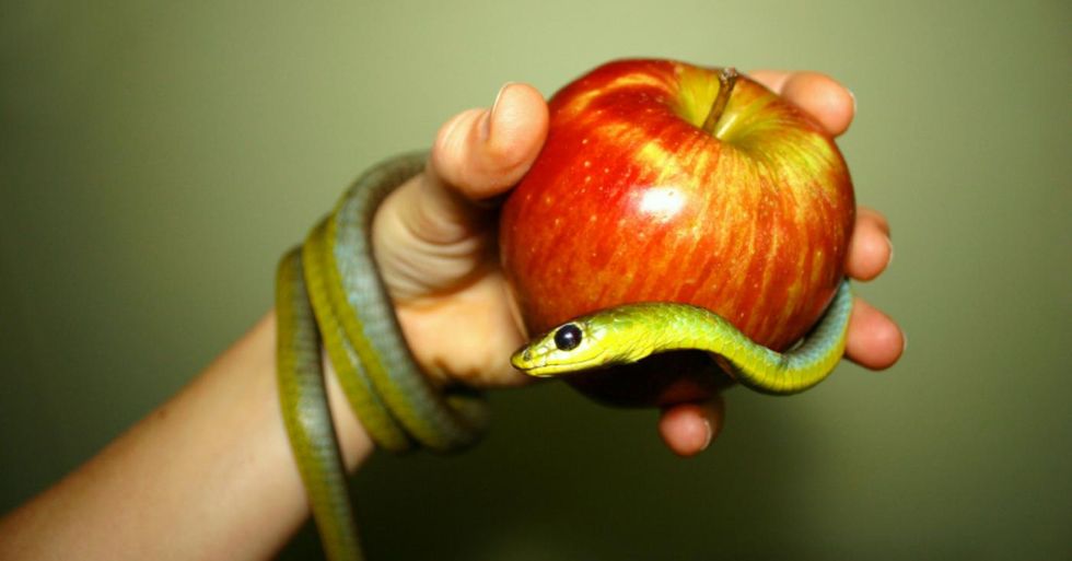 Why God Calls Almost Everything A Sin