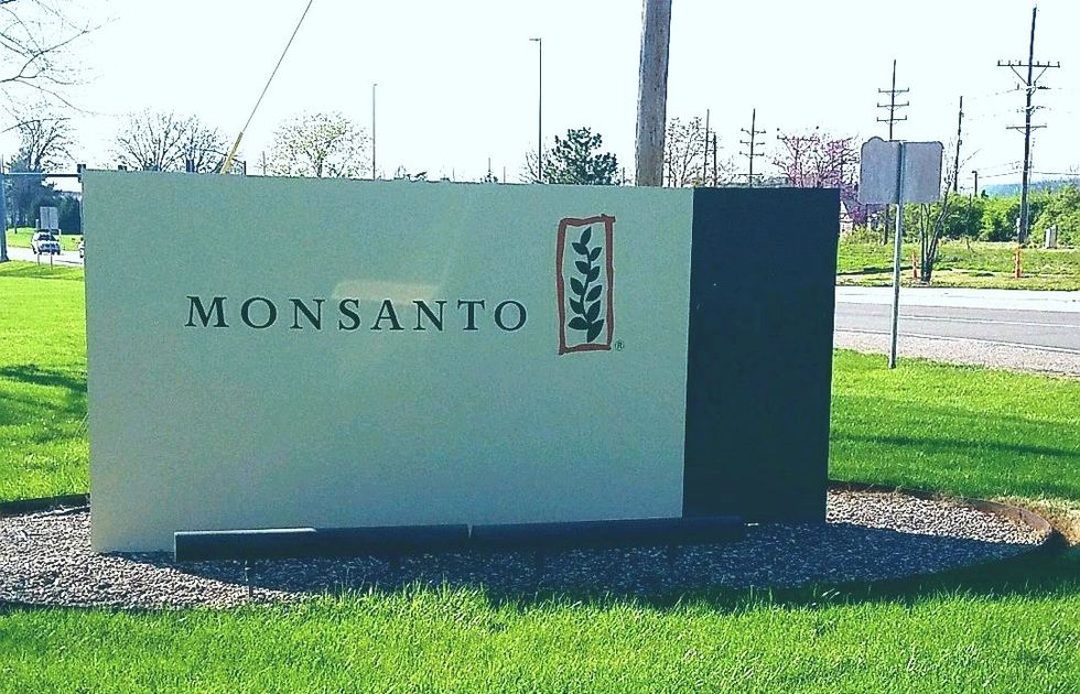 I Survived A Trip To Monsanto