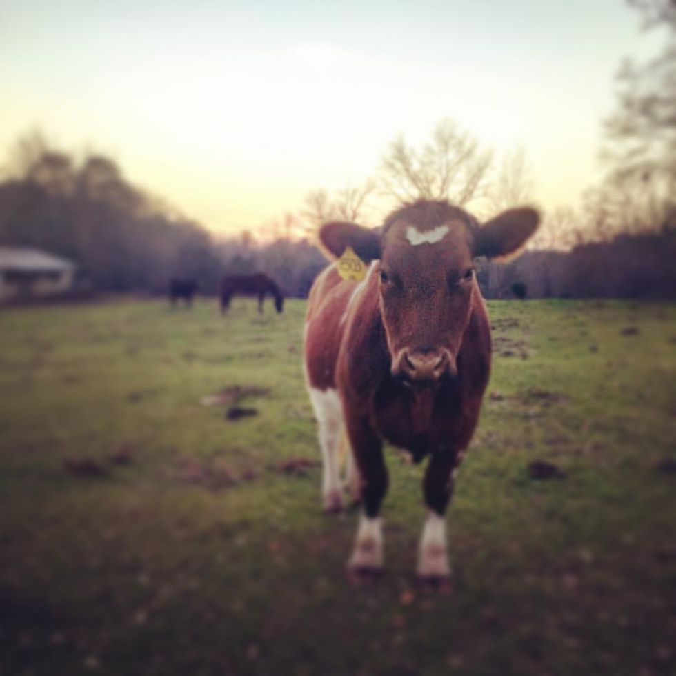 How Agriculture Made Me A Better Woman