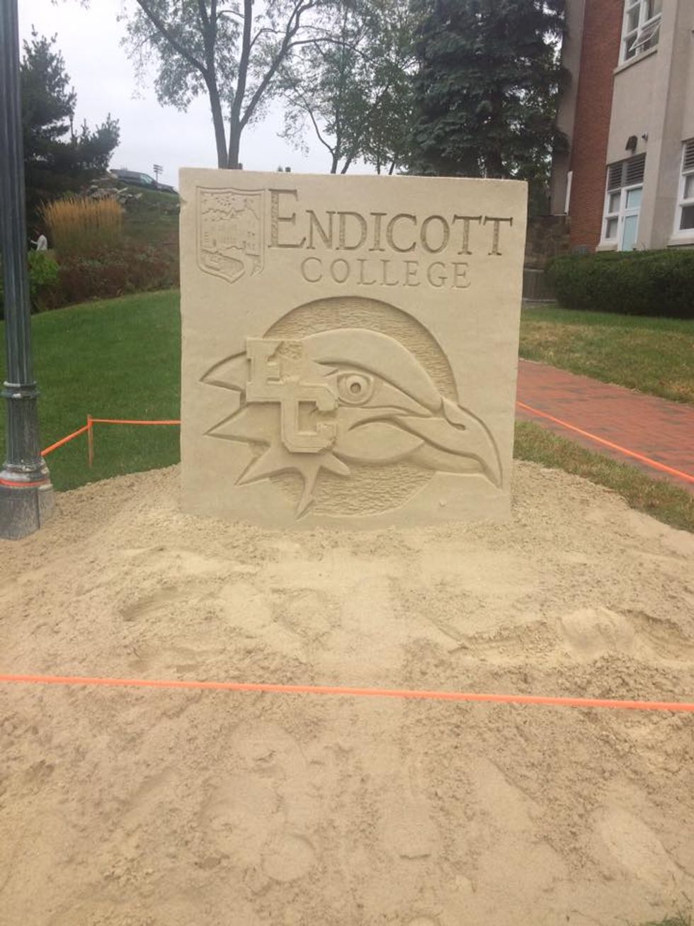 How I Survived College