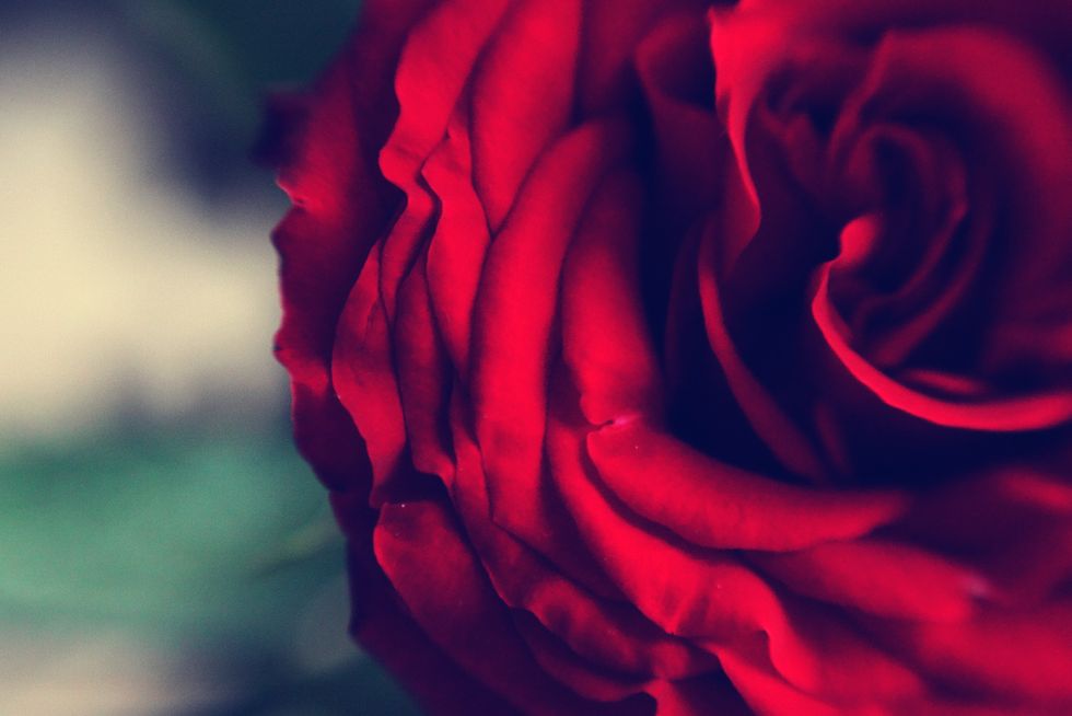 Is Beauty in the Eye of the Beholder?