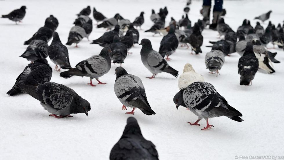 Saving Juliet: Chapter Twelve