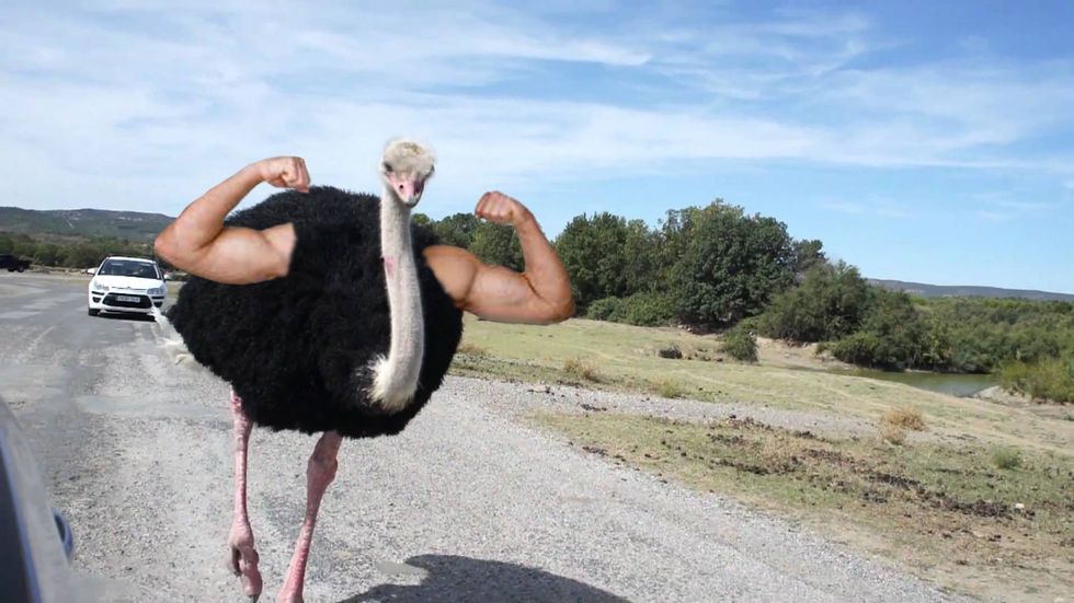 What It's Like Being A Graphic Design Major