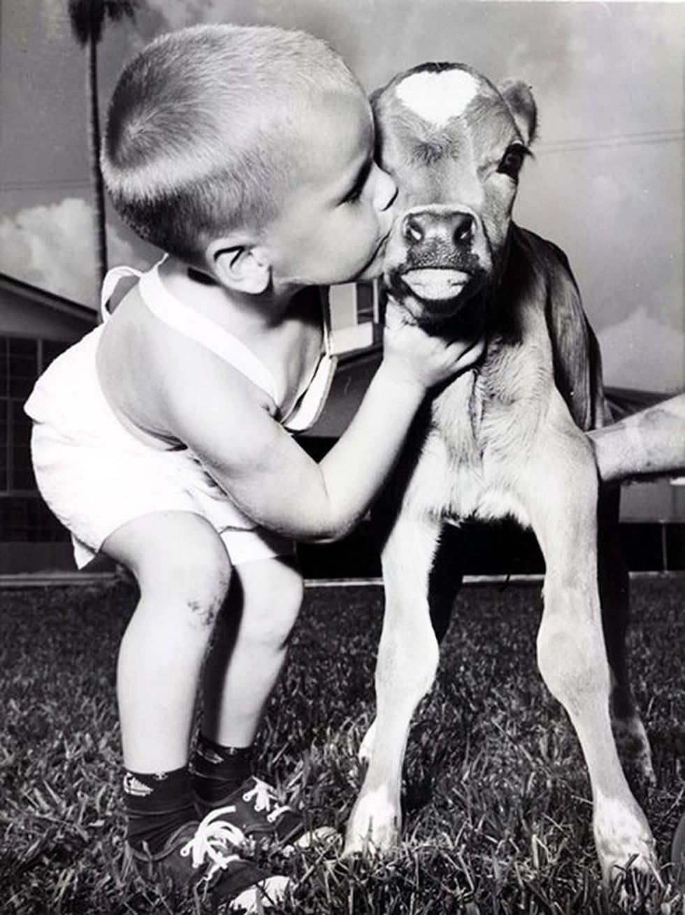 Why I Don't Eat Beef