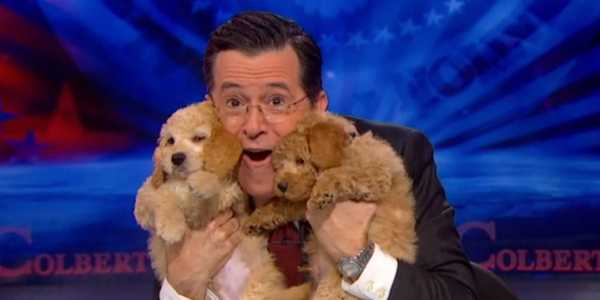 The Average College Life As Told By Stephen Colbert