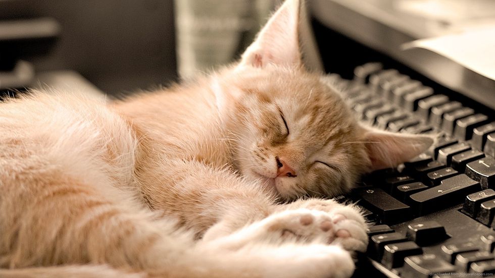 12 Reasons Why Naps are One of the Best Things for a College Student