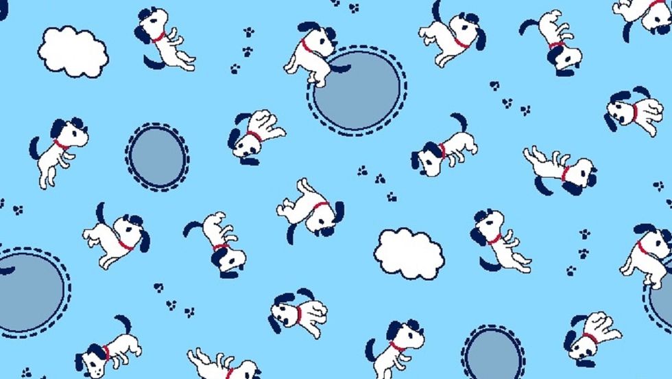 The Canine Chronicles: A Week-Long Dog-Sitting Adventure