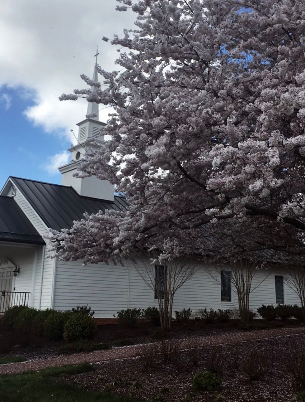 4 Ways To Enjoy Spring At Liberty University
