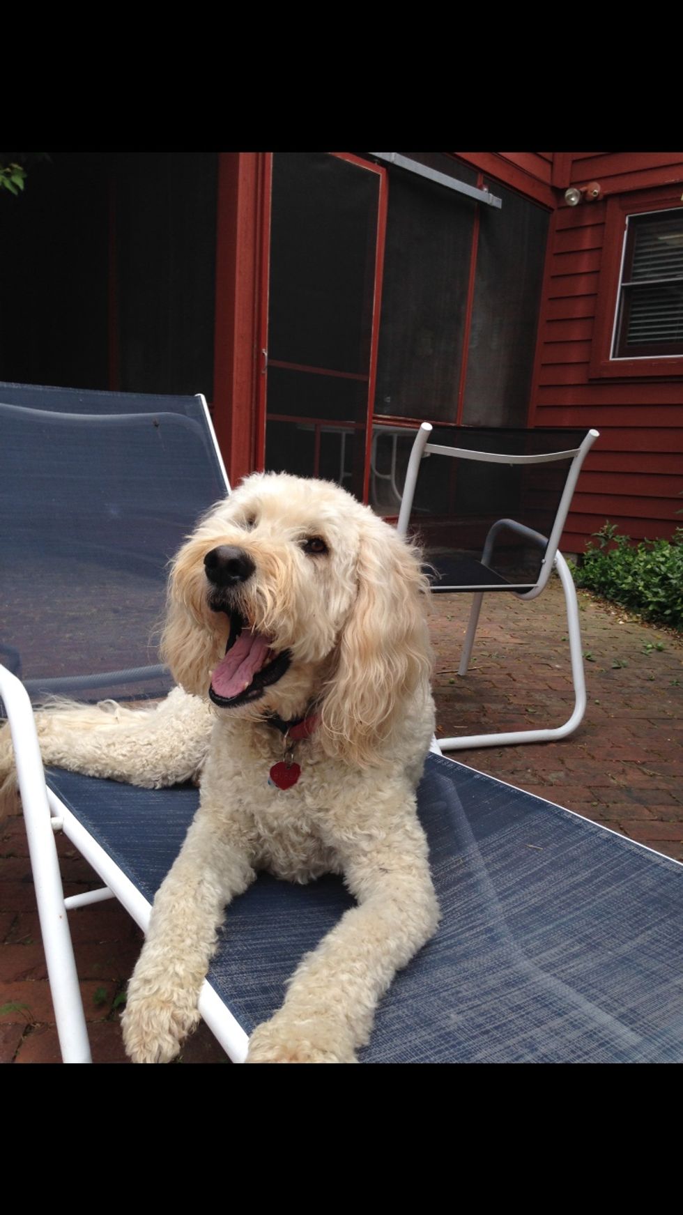 A Thank You Note To My Best Friend, Bubba