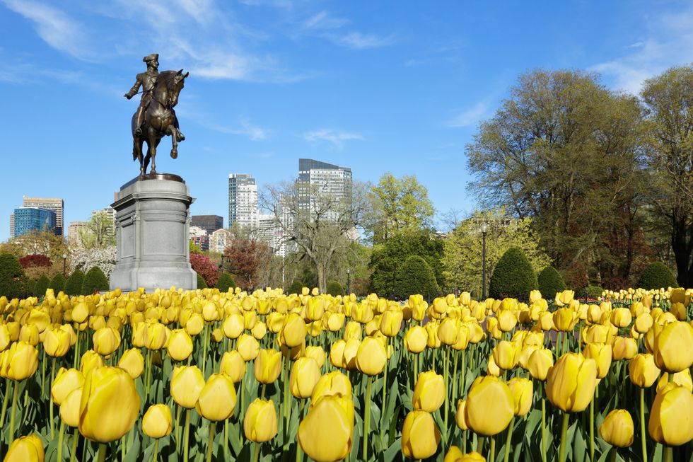 7 Budget-Friendly Activities To Do In Boston In The Spring