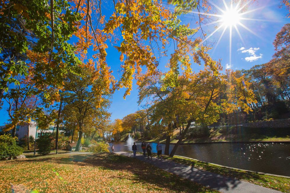 10 Reasons I'm A #GratefulGull