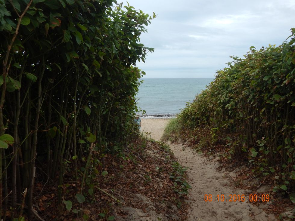 12 Signs You Know You Are A Islander