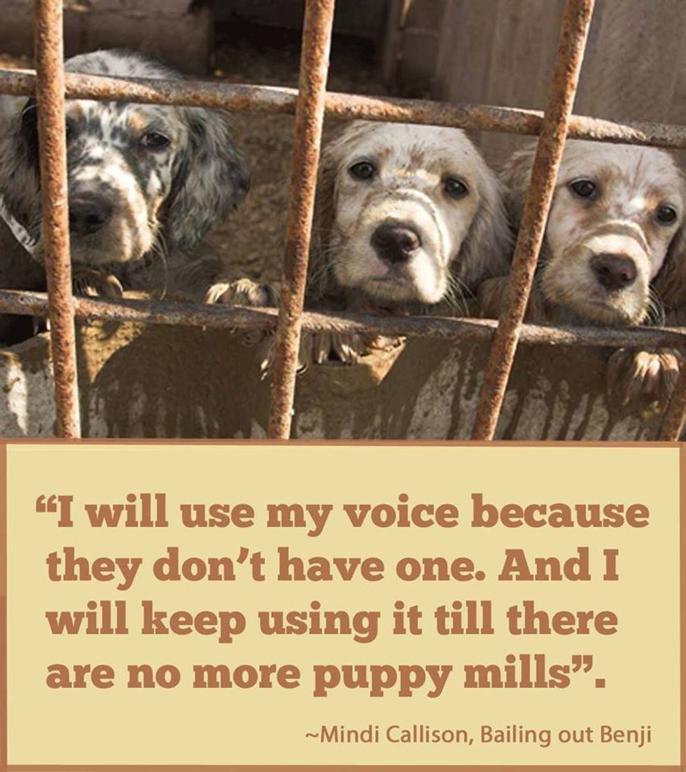 End Puppy Mills