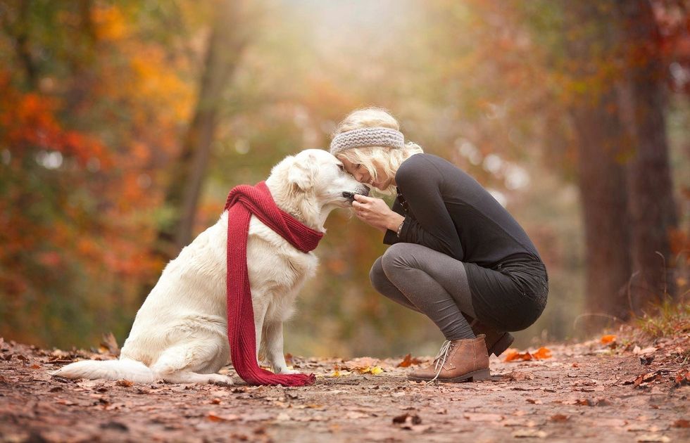 11 Things Only Dog Owners Will Understand