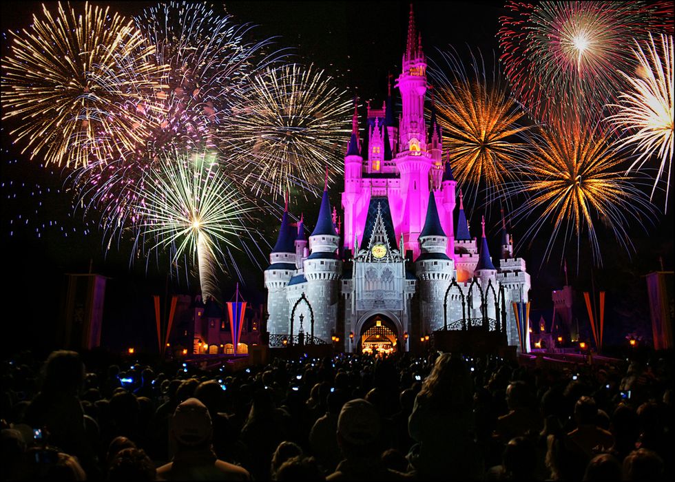 20 Ditzy Things You Have Done At Disney World