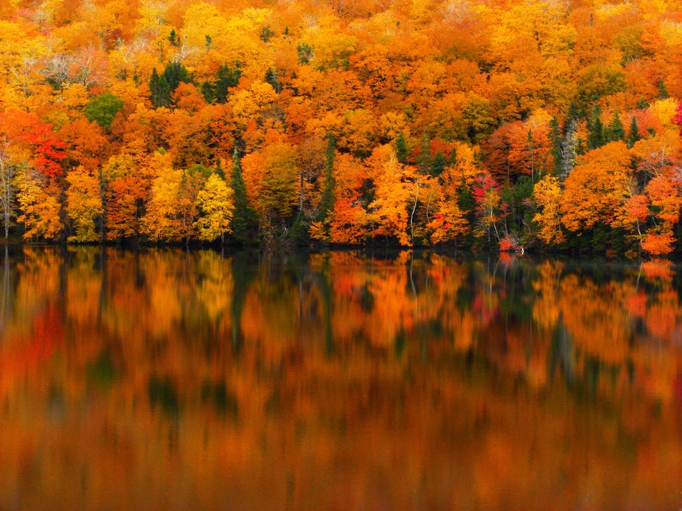 Ten Reasons Why October Is The Best Month