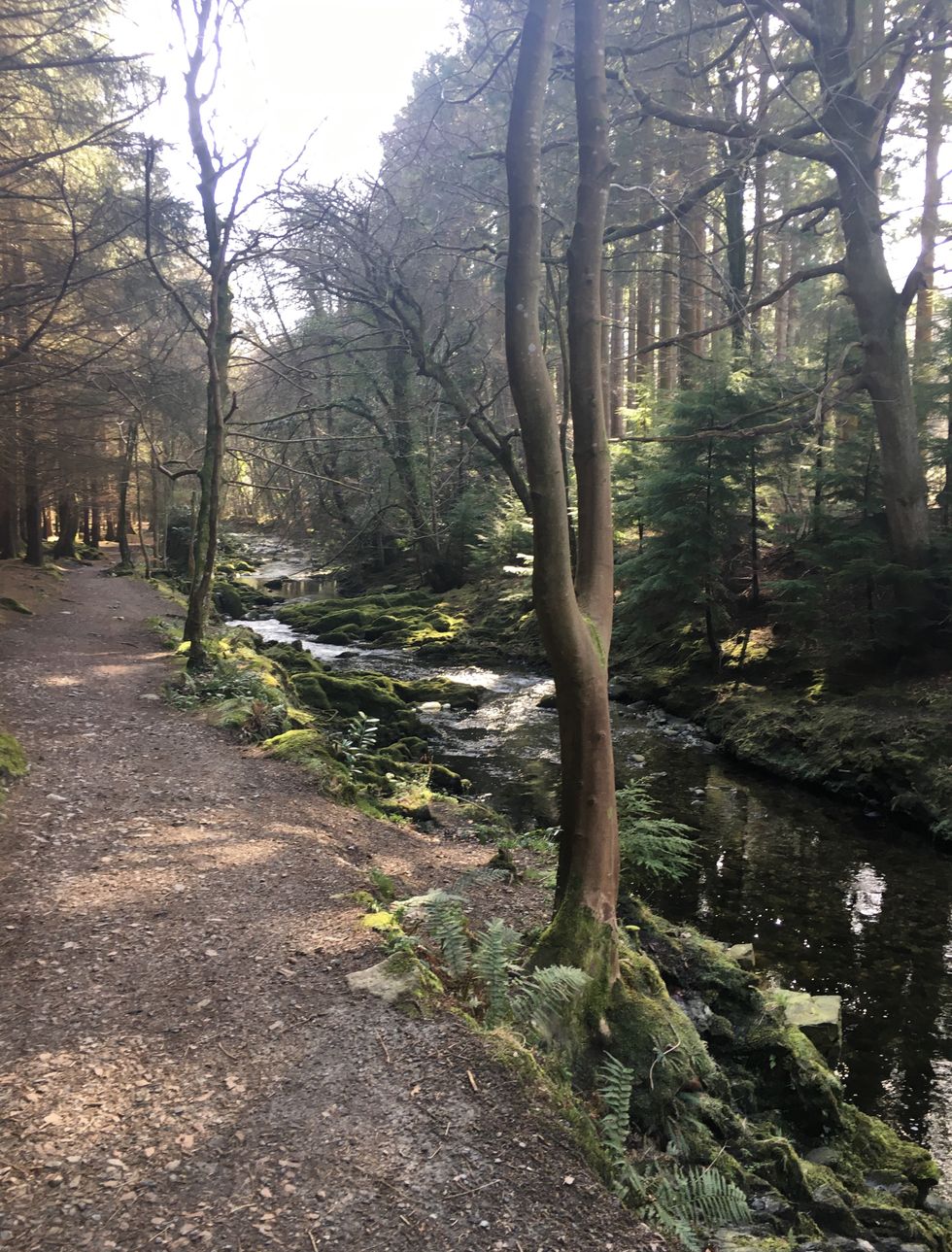 Game of Thrones In Ireland