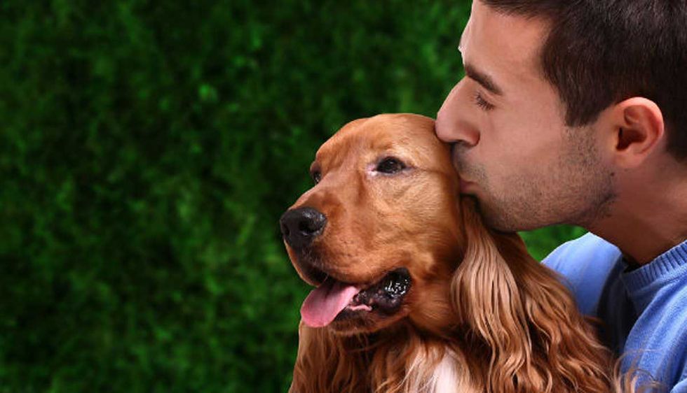 15 Things All Dog Lovers Know to Be True