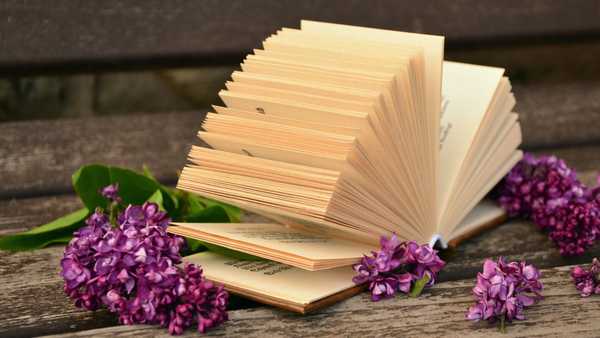 Confessions of a Bookworm
