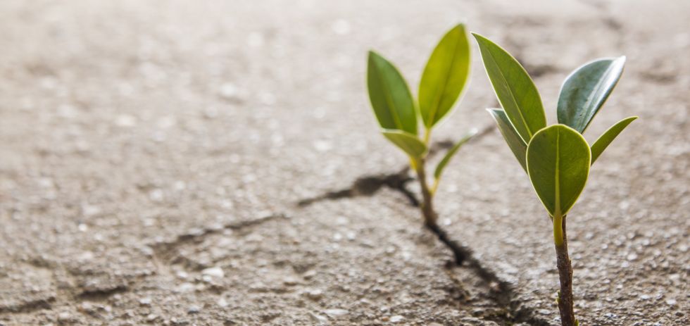 10 Quotes to Get You Through It