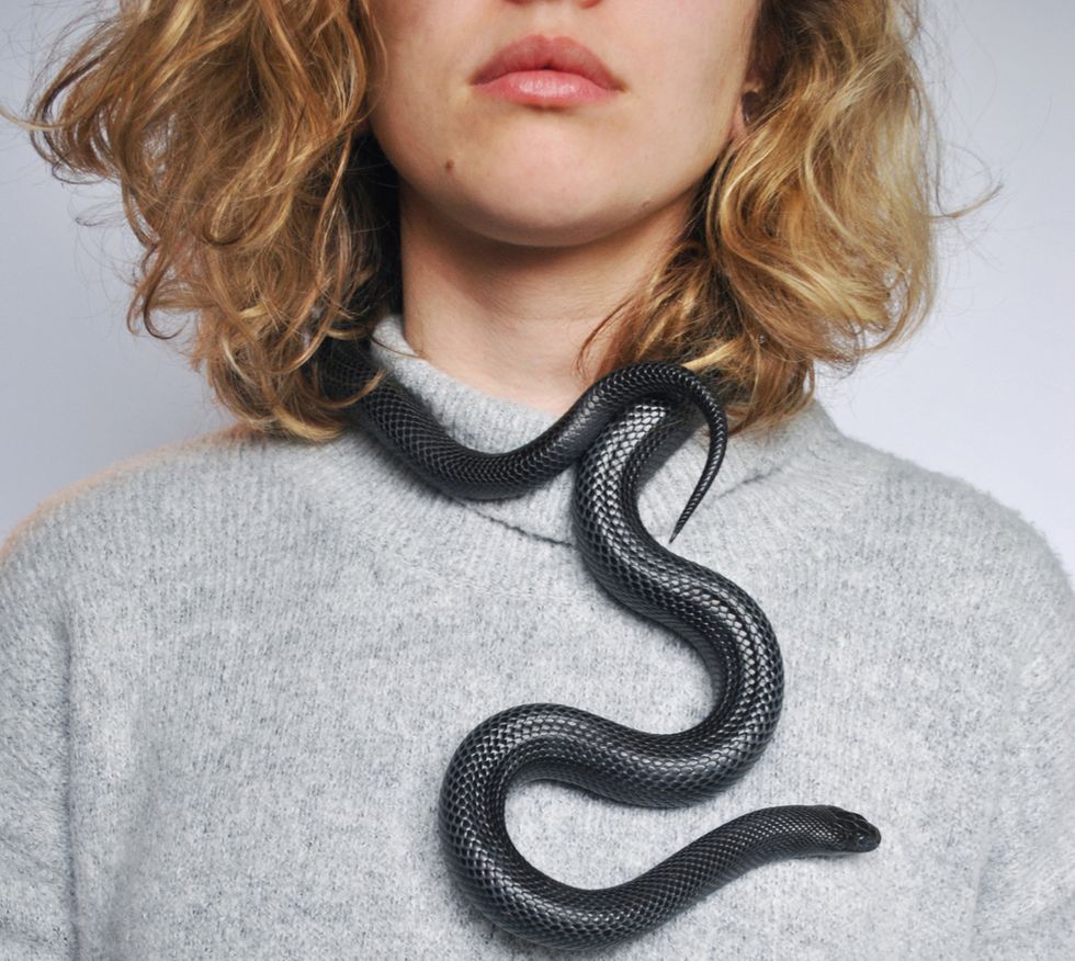 34 Chokers That Are Actually Deadly Snakes But Super Cute