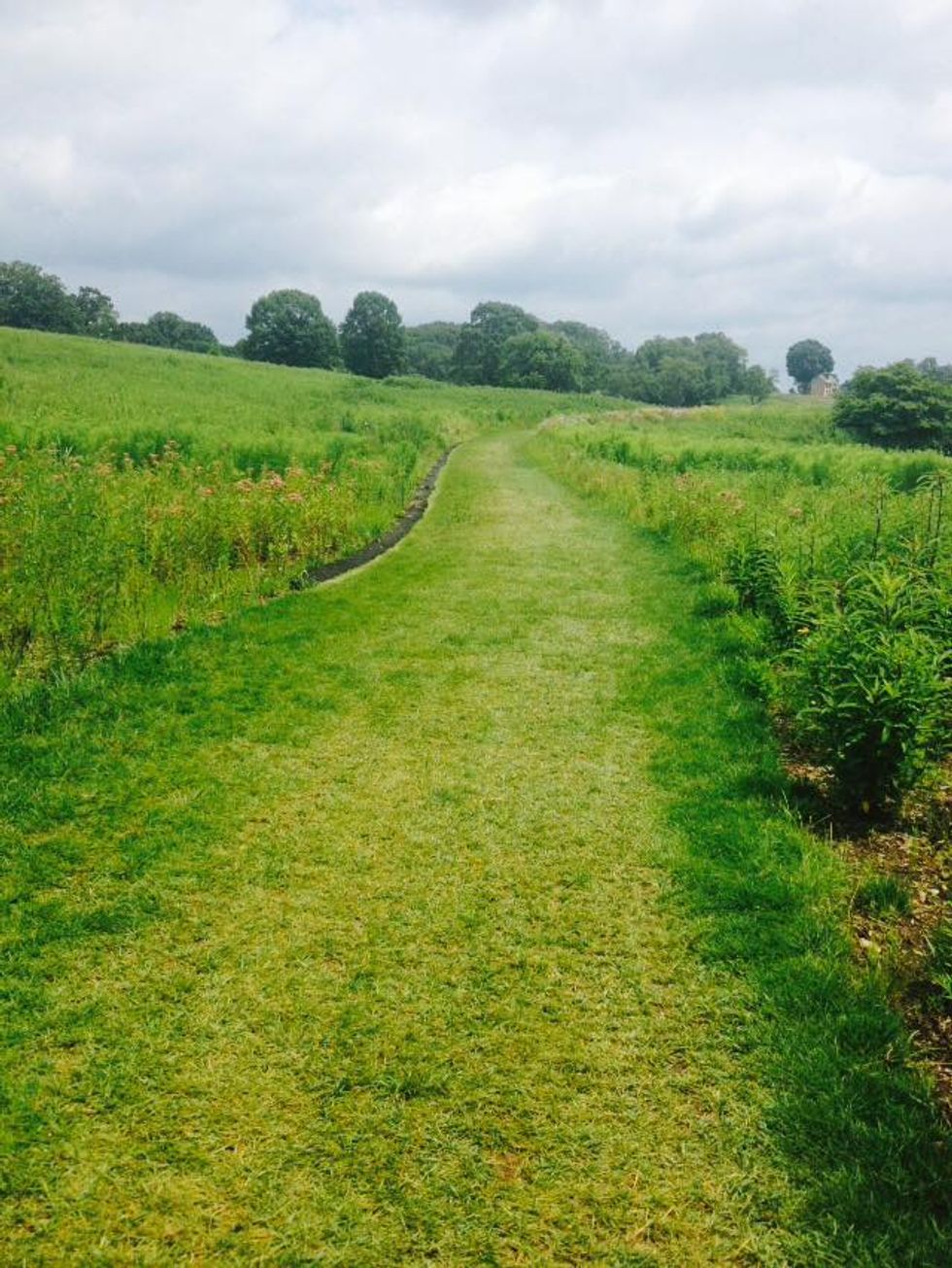 10 Things I'd Tell My Past Self