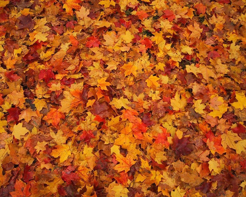 Most Popular Clothing Colors For The Fall 2017 Season