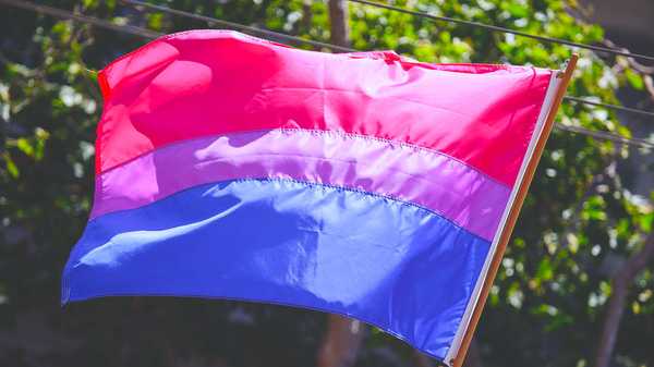Yes, I Am Bisexual, No, I Am Not A Sexual Deviant