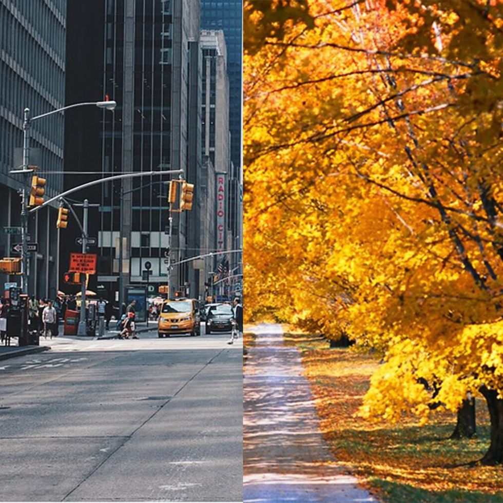 Things You Notice When You Move From the Country to Florida