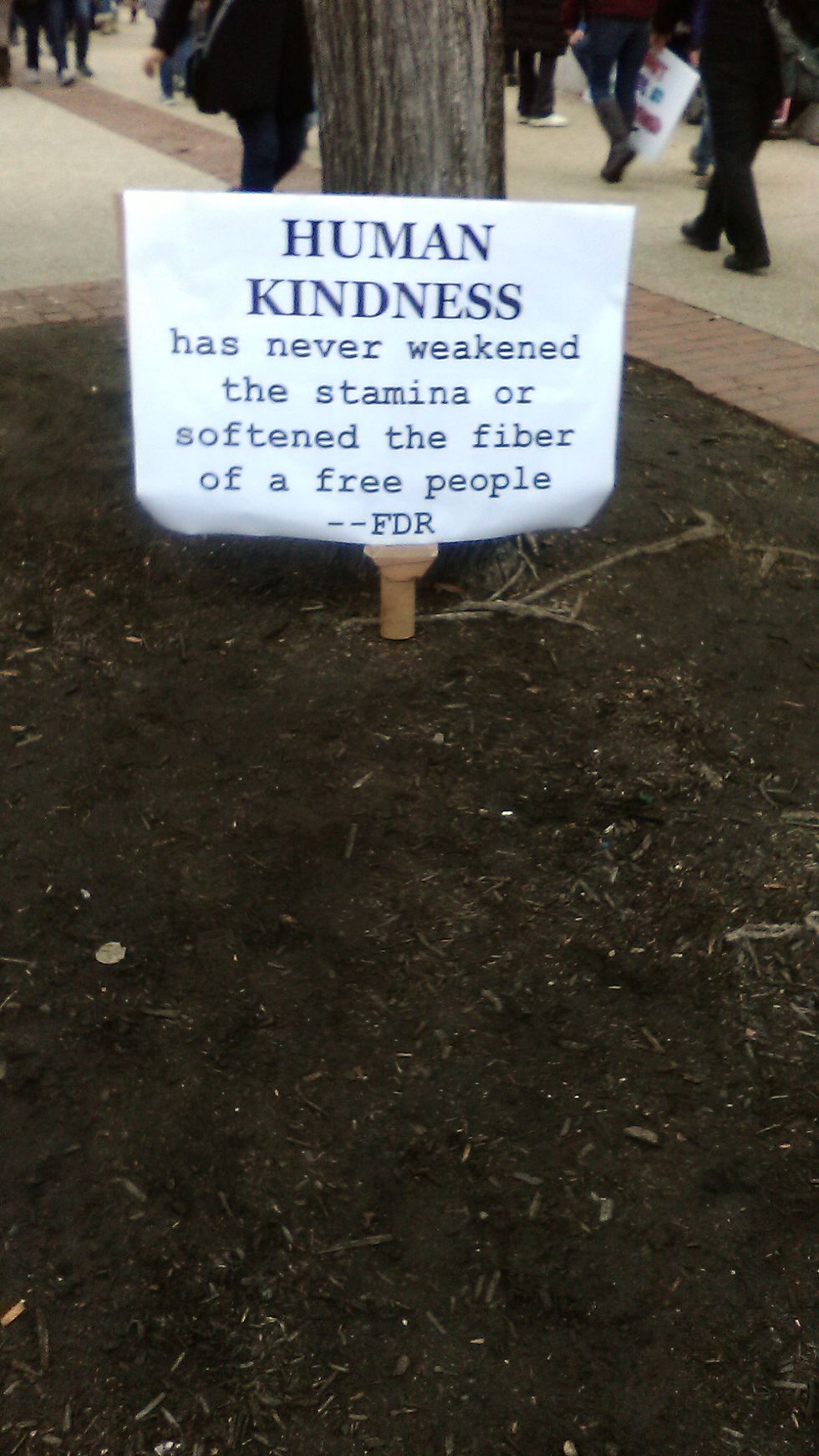 Opinion | Fighting Fascism