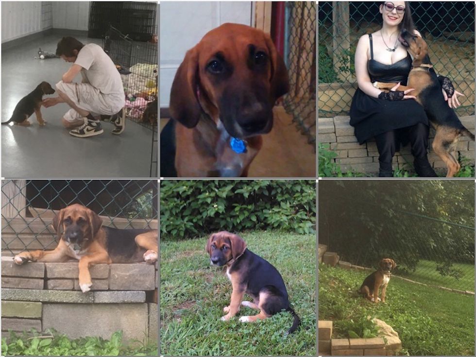 10 Things I've Said To The Puppy That Would Be Weird If I Said Them To A Human