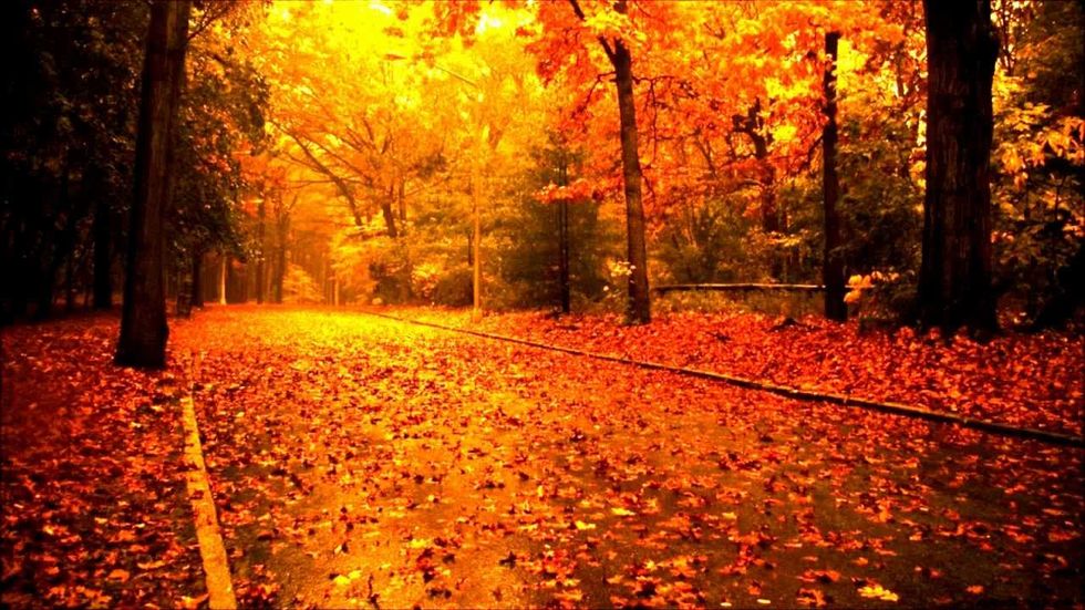 8 Memorable Things To Love About Fall