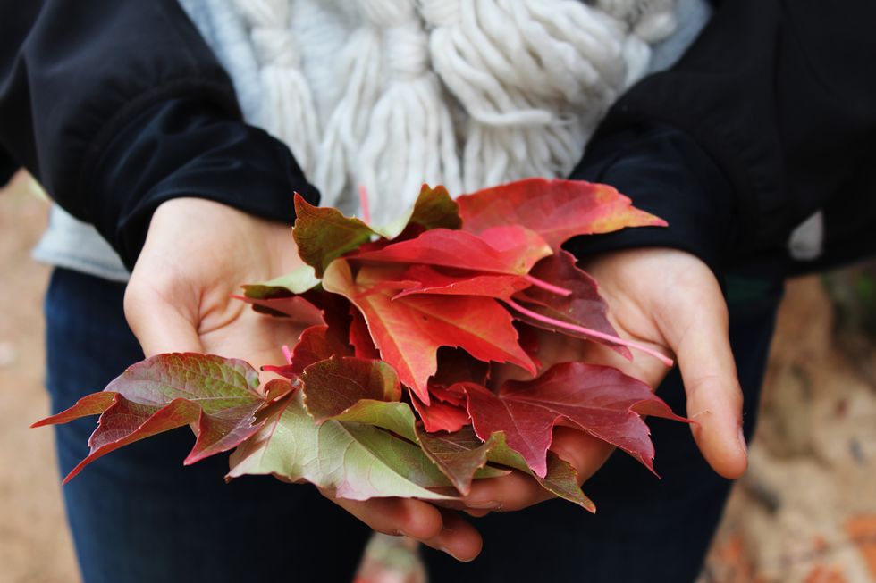 9 Ways To Prepare For Fall