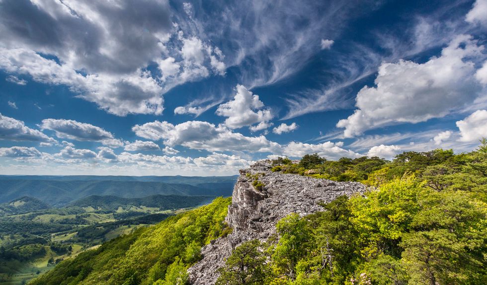 9 Reasonable Reasons to Go Green