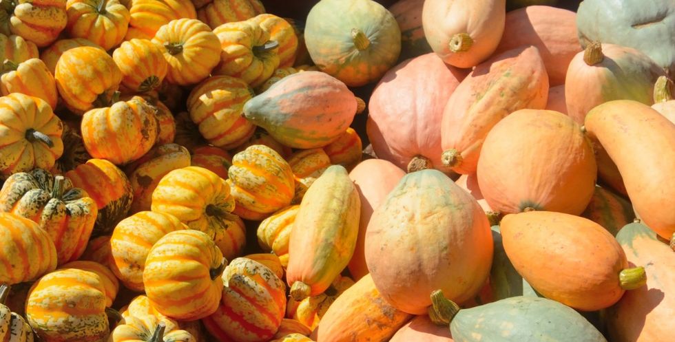 12 Must-Make Recipes, Featuring Your Favorite Fall Squash