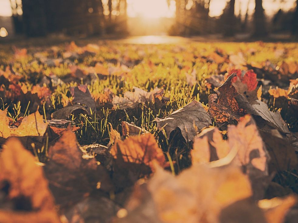 The 12 Best Things To Love About Autumn
