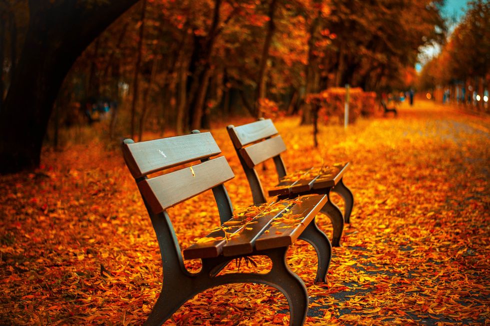 10 Reasons Fall Is The Greatest Time Of Year